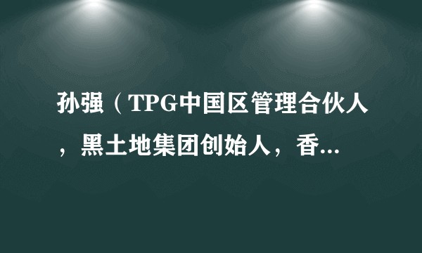 孙强（TPG中国区管理合伙人，黑土地集团创始人，香港交易所中国业务咨询委员会成员）