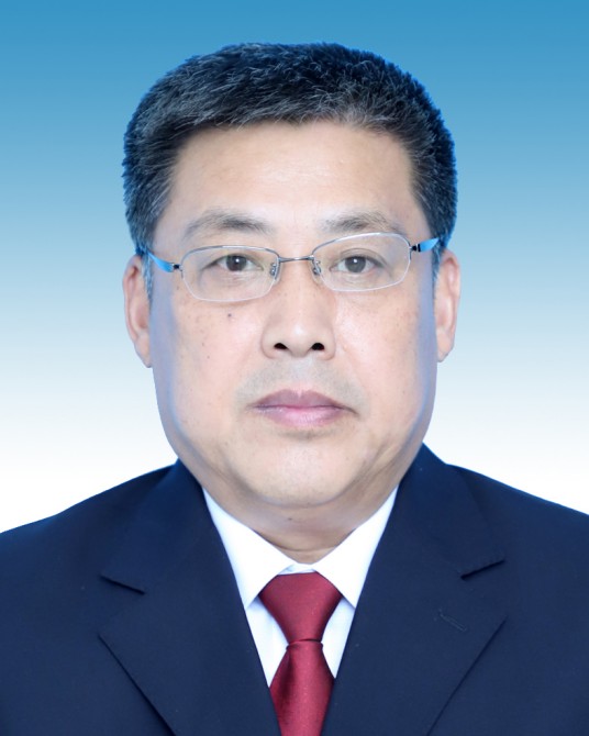 张玉峰(山东省聊城市监察委员会原副主任)