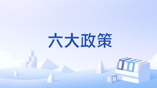 六大政策
