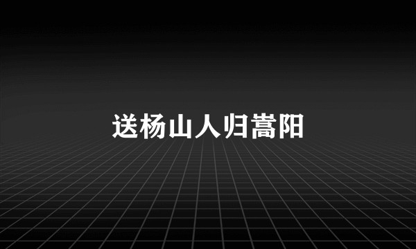 送杨山人归嵩阳