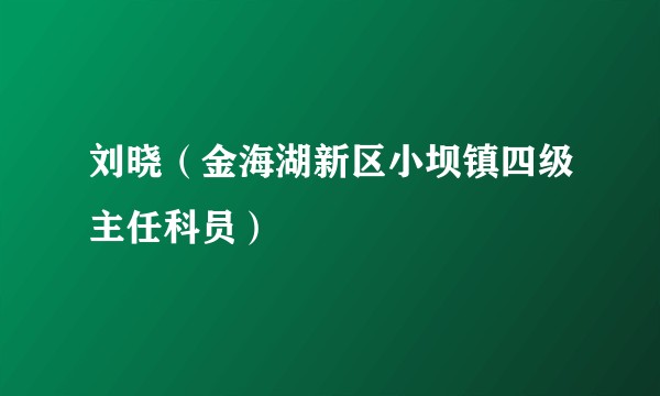 刘晓(金海湖新区小坝镇四级主任科员)