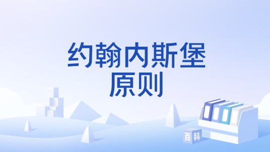 约翰内斯堡原则