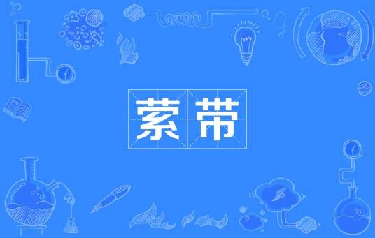 萦带