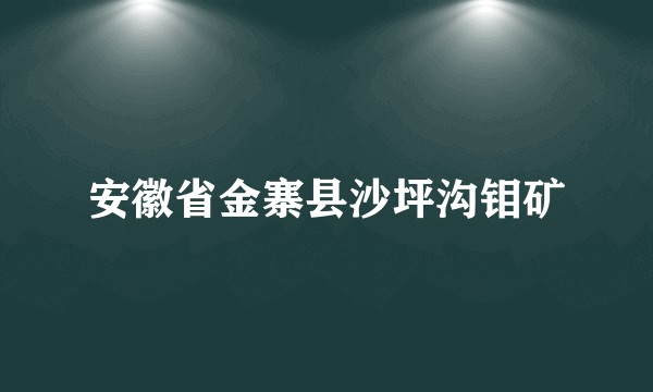 安徽省金寨县沙坪沟钼矿