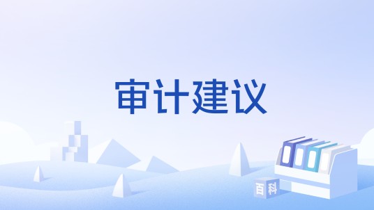 审计建议