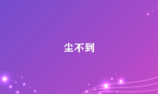 尘不到