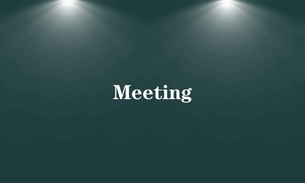Meeting