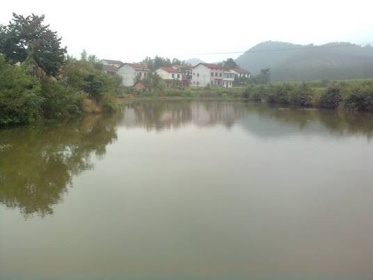 千针村
