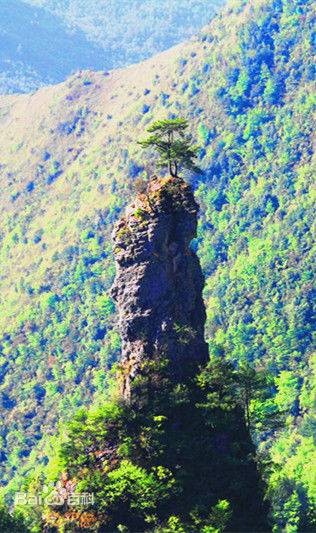 八台山（四川省达州市的国家4A级旅游景区）
