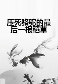 压死骆驼的最后一根稻草（谟棂所著小说）