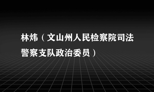 林炜（文山州人民检察院司法警察支队政治委员）