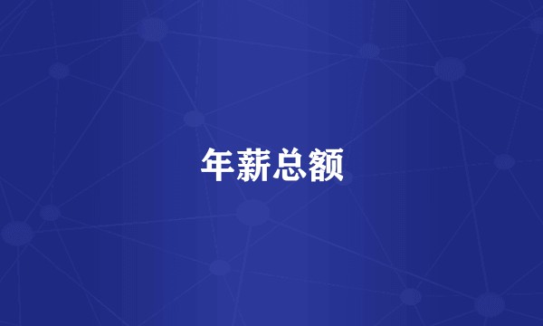 年薪总额