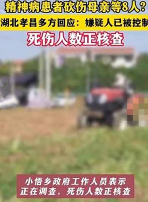 5·23孝昌恶性伤人事件