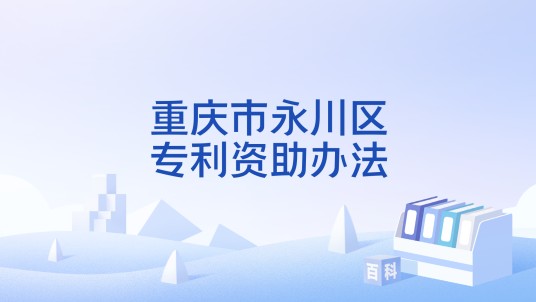 重庆市永川区专利资助办法