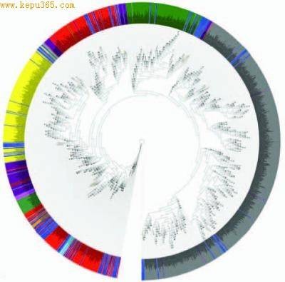 人类微生物组计划