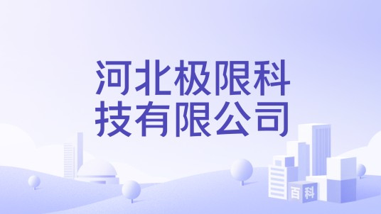河北极限科技有限公司