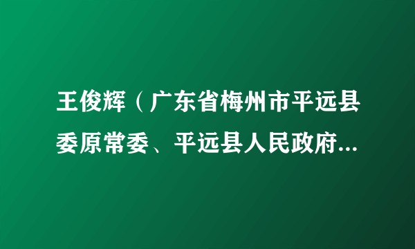王俊辉（广东省梅州市平远县委原常委、平远县人民政府原副县长）