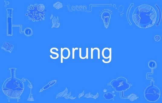 sprung(英语单词)