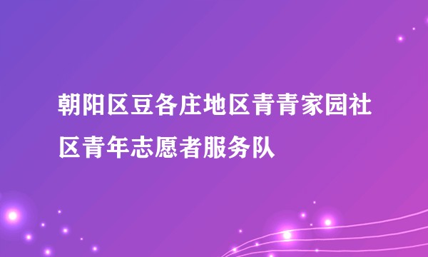 朝阳区豆各庄地区青青家园社区青年志愿者服务队