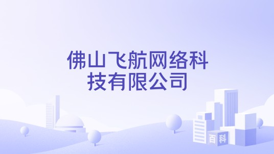 佛山飞航网络科技有限公司