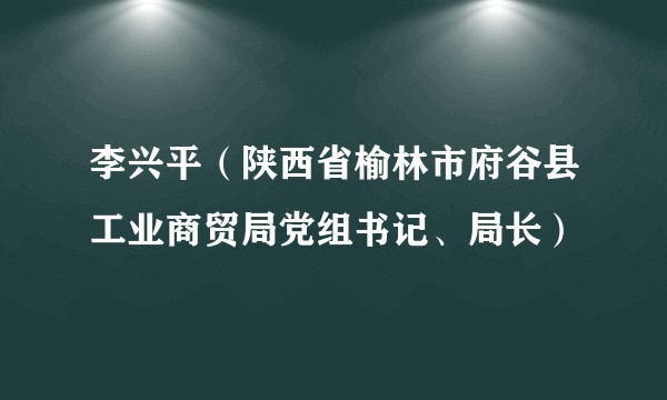 李兴平（陕西省榆林市府谷县工业商贸局党组书记、局长）