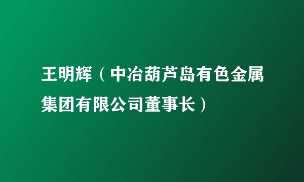 王明辉（中冶葫芦岛有色金属集团有限公司董事长）
