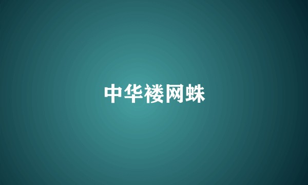 中华褛网蛛