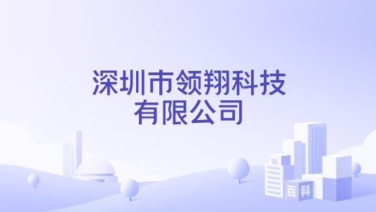 深圳市领翔科技有限公司