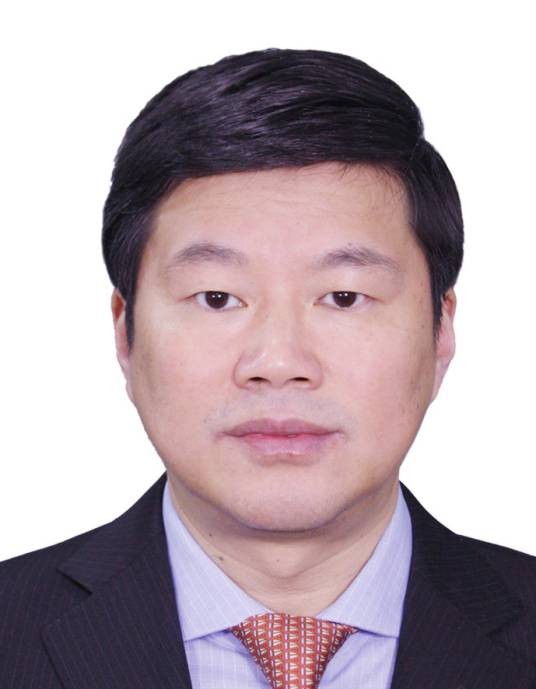 谢军（合肥市政协提案委员会副主任）