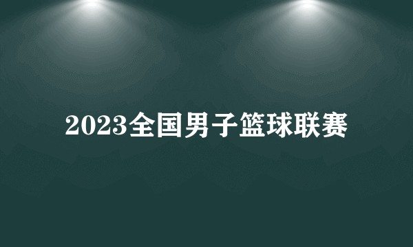2023全国男子篮球联赛
