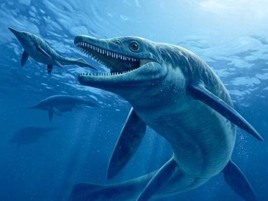 海怪（汉语词语）