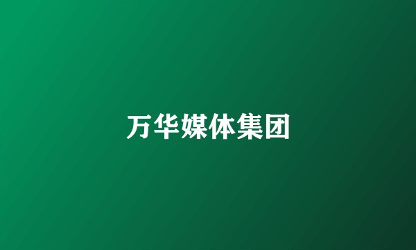 万华媒体集团