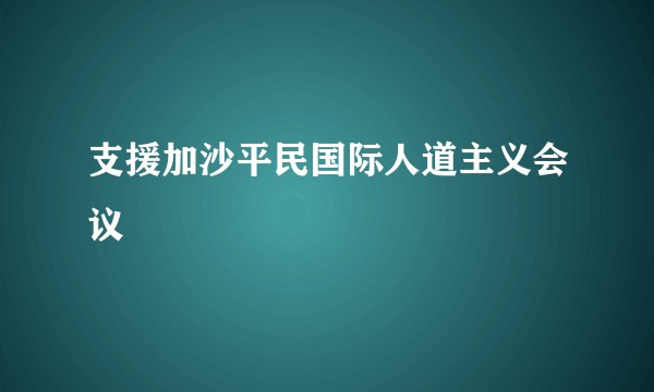 支援加沙平民国际人道主义会议