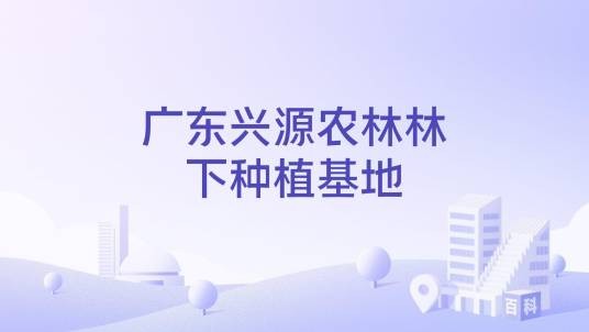 广东兴源农林林下种植基地