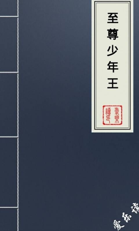 至尊少年王