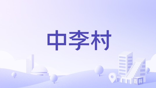 中李村（安徽合肥市巢湖市烔炀镇下辖村）
