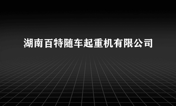 湖南百特随车起重机有限公司