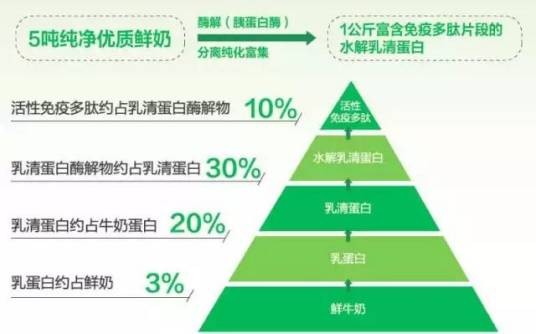 乳清蛋白水解物