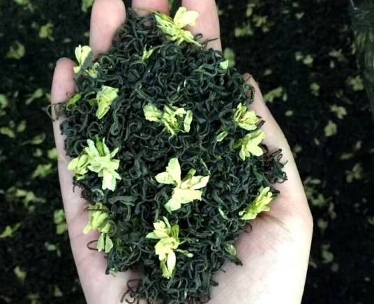犍为茉莉花茶