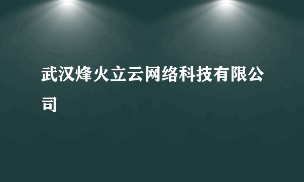 武汉烽火立云网络科技有限公司