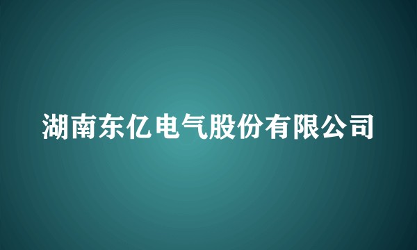 湖南东亿电气股份有限公司