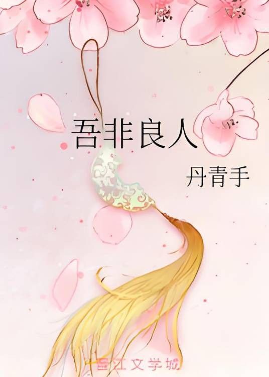 吾非良人（丹青手创作的爱情类网络小说）