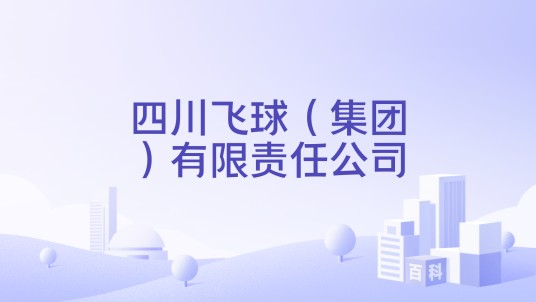 四川飞球（集团）有限责任公司