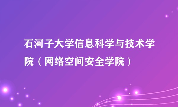 石河子大学信息科学与技术学院（网络空间安全学院）