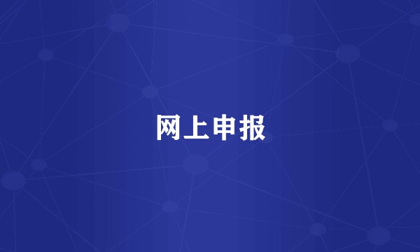 网上申报