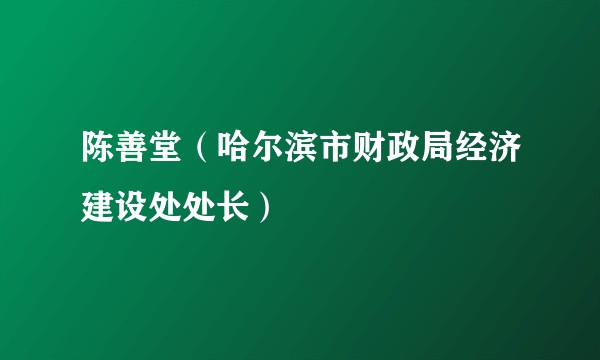 陈善堂（哈尔滨市财政局经济建设处处长）