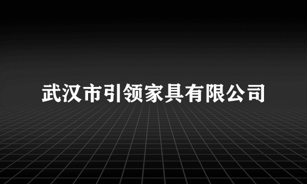 武汉市引领家具有限公司