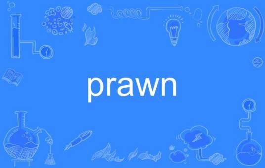 prawn