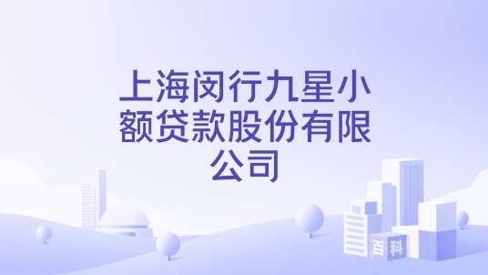 上海闵行九星小额贷款股份有限公司