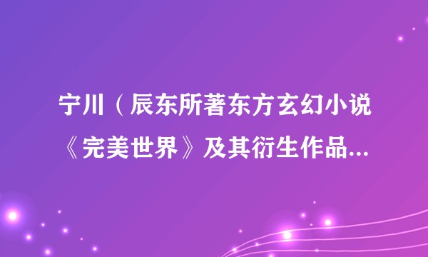 宁川（辰东所著东方玄幻小说《完美世界》及其衍生作品中的角色）